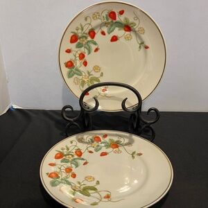 Vintage 1978 Avon Set of 2 Strawberry Porcelain Plates Made in Brazil
